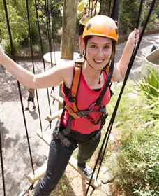 Wild Ropes At Taronga Zoo - Accommodation QLD 3