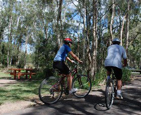 Boondall Wetlands Reserve - Accommodation QLD 2