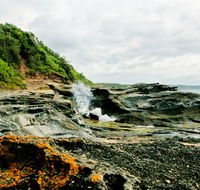 Glenrock State Conservation Area - Accommodation QLD