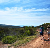 Moonee Beach trail - Accommodation QLD