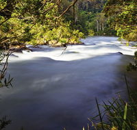 Nymboi-Binderay National Park - Accommodation QLD