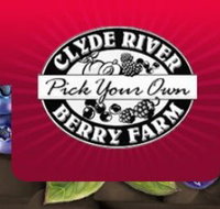 Clyde River Berry Farm - Accommodation QLD