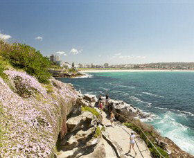 Bondi To Coogee Coastal Walk - Accommodation QLD 3