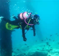 Shellharbour Scuba  Photography Centre - Accommodation QLD
