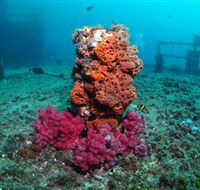 HMAS Brisbane Dive Site - Accommodation QLD