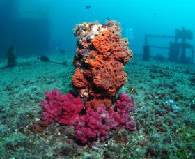 HMAS Brisbane Dive Site - Accommodation QLD 0