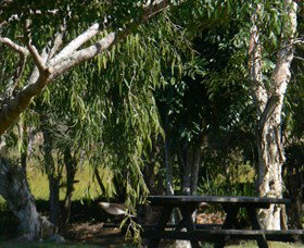 Mongogarie NSW Accommodation QLD