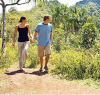 Hoddles Track - Accommodation QLD