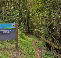 Red Cedar loop - Accommodation QLD
