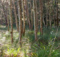 Anabranch loop track - Accommodation QLD
