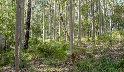Anabranch Loop Track - Accommodation QLD 2