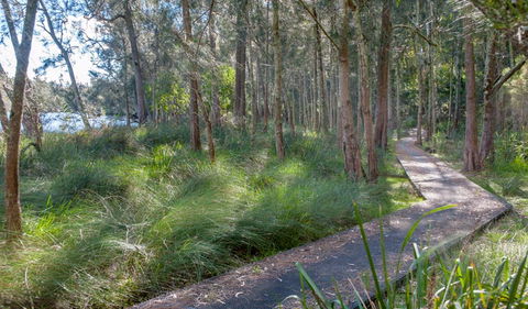 Anabranch Loop Track - Accommodation QLD 3