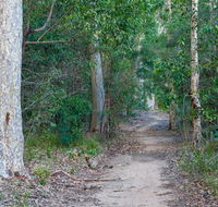Delta track - Accommodation QLD