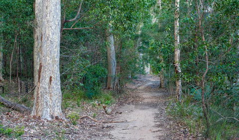 Delta Track - Accommodation QLD 0