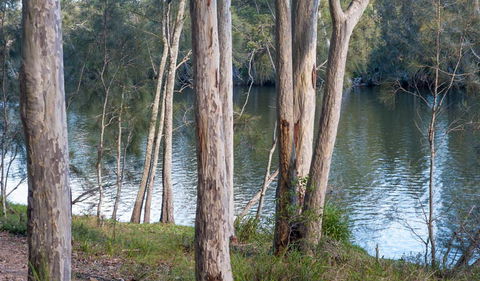 Delta Track - Accommodation QLD 2