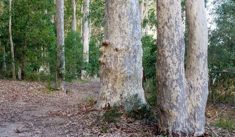 Delta Track - Accommodation QLD 3