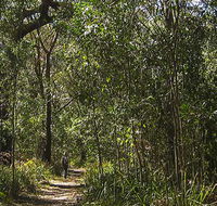 Sand track walk south - Accommodation QLD