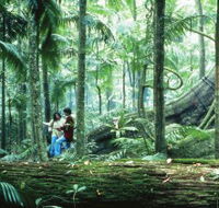 Illinbah circuit - Accommodation QLD