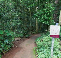 Walk with the Birds boardwalk - Accommodation QLD