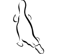 Platypus Gallery - Accommodation QLD