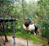 TreeTop Challenge - Accommodation QLD