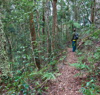 Blackbutt walking track - Accommodation QLD
