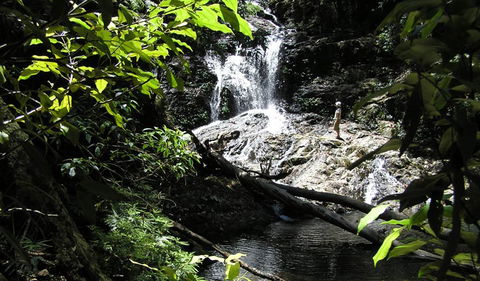 Blackbutt Walking Track - Accommodation QLD 2