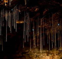 Tamborine Mountain Glow Worm Caves - Accommodation QLD