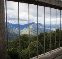 Dorrigo Rainforest Centre - Accommodation QLD
