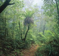 Wagawn - Accommodation QLD