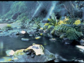 Coomera Circuit - Accommodation QLD 0