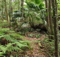 Durras Lake Discovery trail - Accommodation QLD