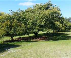 The Avocado Farm - Accommodation QLD 1