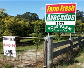 The Avocado Farm - Accommodation QLD 3