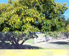 The Avocado Farm - Accommodation QLD 2