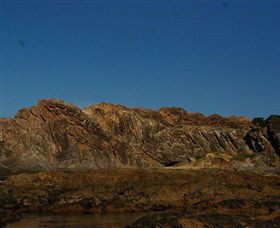 Batemans Bay Snorkelling Trail - Accommodation QLD 2