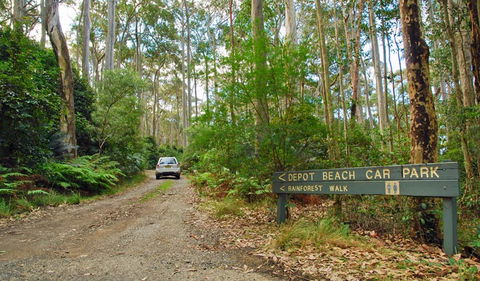 Depot Beach Rainforest Walk - Accommodation QLD 1
