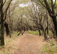 Pretty Beach to Snapper Point walking track - Accommodation QLD