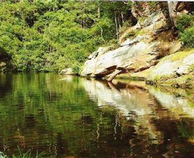 Numinbah Valley Adventure Trails - Accommodation QLD 1