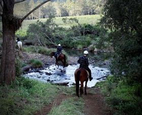 Numinbah Valley Adventure Trails - Accommodation QLD 3