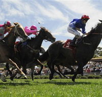 Moruya Racecourse - Accommodation QLD