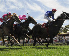 Moruya Racecourse - Accommodation QLD 0