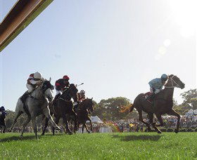 Moruya Racecourse - Accommodation QLD 1