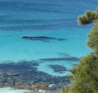 Jervis Bay Marine Park - Accommodation QLD