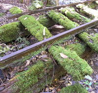 Wootton Historical Railway Walk - Accommodation QLD