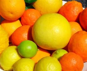 Fruit Salad Tree Company - Accommodation QLD 2