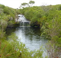 Booderee National Park Green Patch and Telegraph Creek Walking Tracks - Accommodation QLD