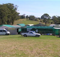 Tinonee Orchid Nursery - Accommodation QLD