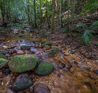 Starrs Creek picnic area - Accommodation QLD