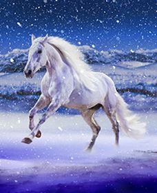 Australian Outback Spectacular: High Country Legends - Accommodation QLD 1